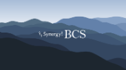 Synergy!BCS
